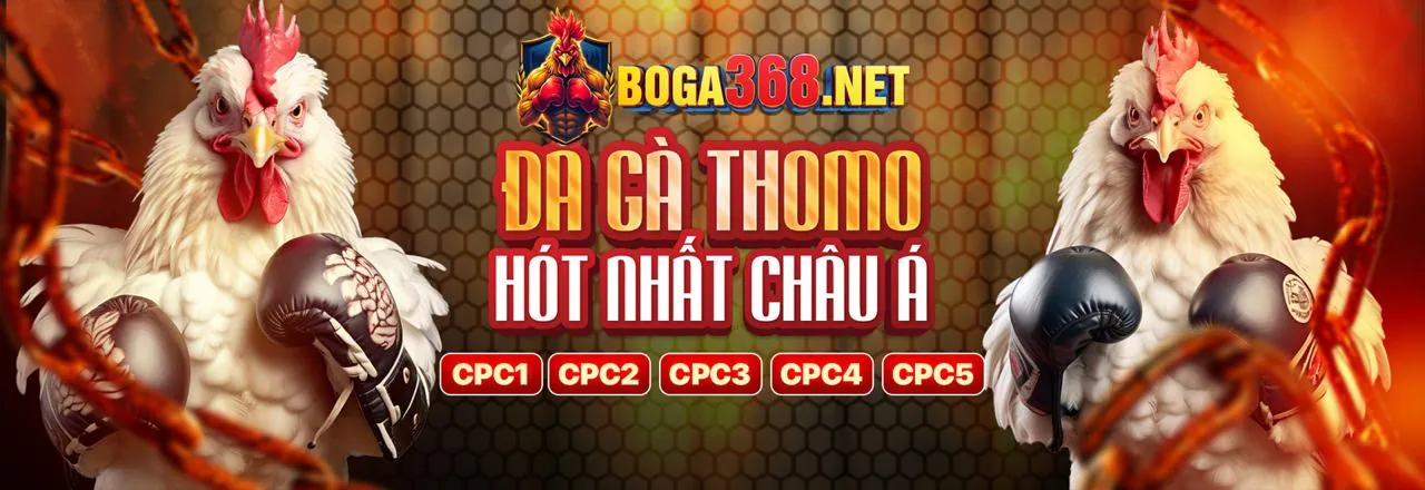 Sảnh Đá gà trực tuyến Vicclub