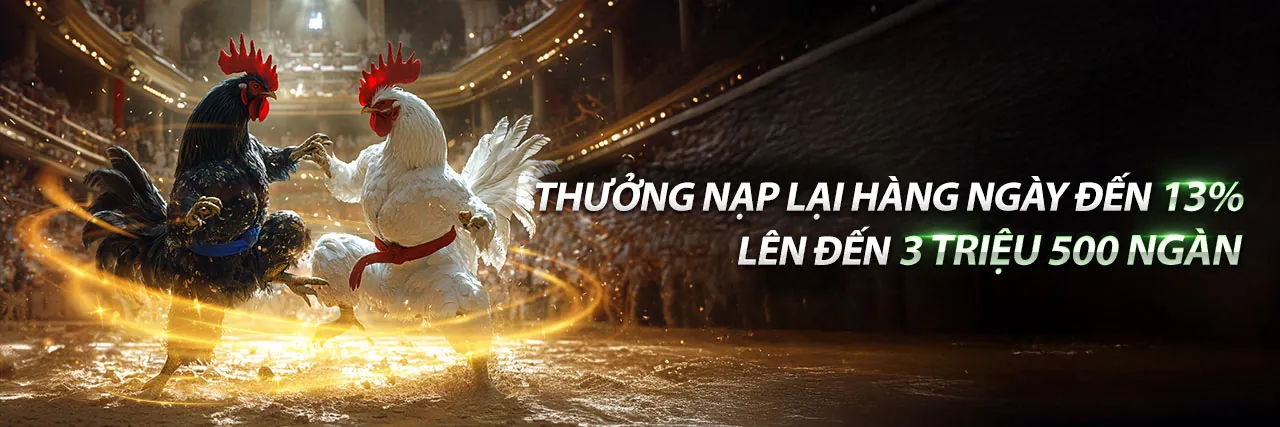 Hình ảnh tổng quan blog Vicclub, với các yếu tố cá cược thể thao và casino, màu xanh vàng chủ đạo